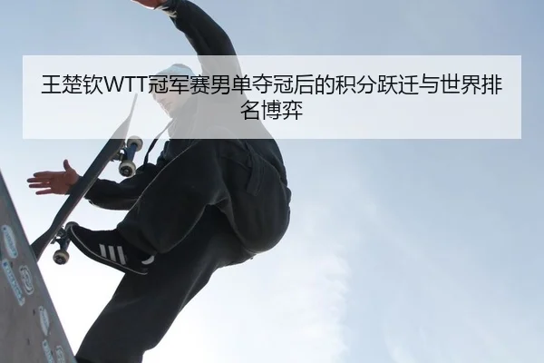 王楚钦WTT冠军赛男单夺冠后的积分跃迁与世界排名博弈
